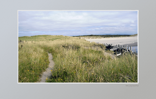 Inland trail along South Jetty from 2008